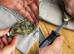 How to open the oysters?