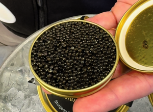 Tutto Quello che Devi Sapere sul Caviale