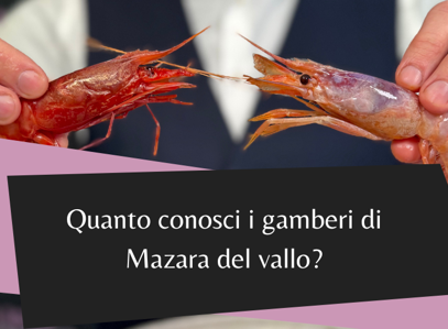Gambero Rosso o Gambero viola?