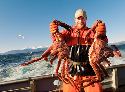 Il King Crab