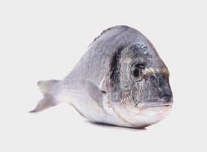 Fish market Sea bream