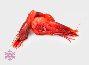 raw fish Mazara red prawn