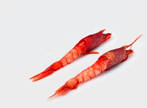 raw fish Mazara red prawn