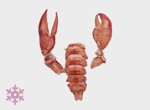 raw fish Raw lobster pulp