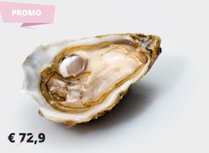 Oysters Ostriche Gillardeau