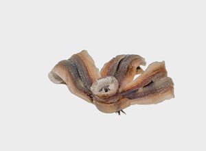raw fish Lampara anchovies