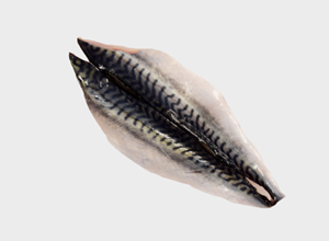 Fish market Mackerel fillet