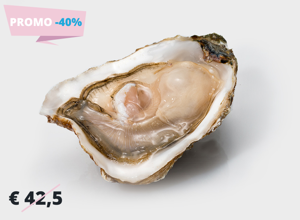 Oysters From Loire