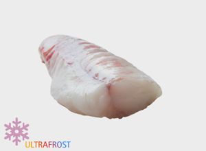 Ocean - Fit Monkfish
