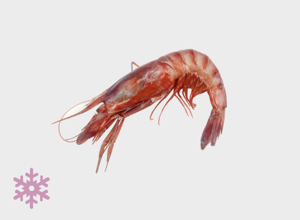 raw fish Gambero Viola