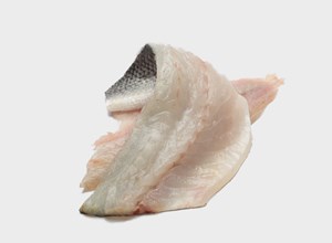Fish market Sea bass greece fillet