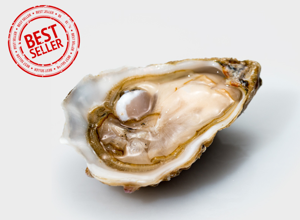 Oysters Ostriche Gillardeau