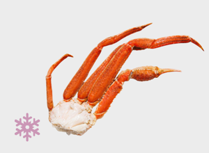 raw fish Granceola Artica 