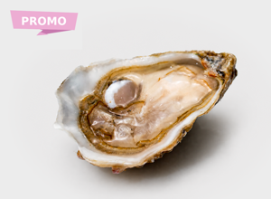 Oysters Ostriche Gillardeau