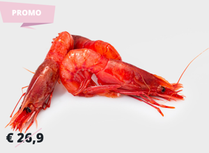 Fish market Mazara red prawn