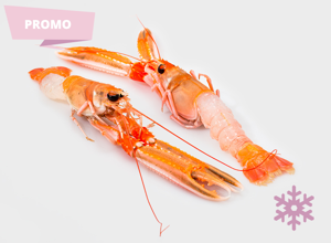 raw fish Langoustine