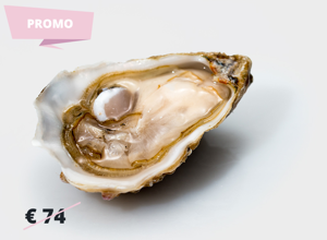 Oysters Ostriche Gillardeau