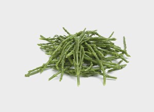 Fish market Glasswort