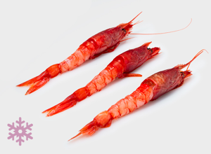 raw fish Mazara red prawn