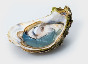 Oysters Emeraude