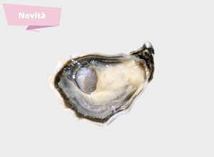 Oysters Speciale Geay
