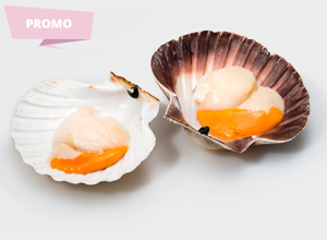 Fish market Scallops