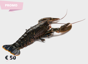 Fish market Breton lobster