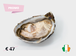 Oysters Cuvée Prestige 