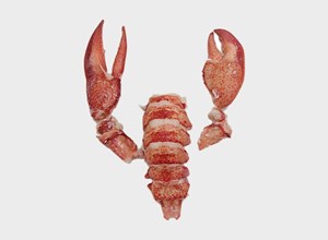 Fish market Raw lobster pulp