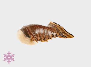 raw fish Tristan Lobster