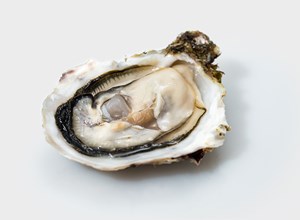 Oysters Gauloise