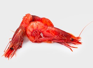 Fish market Mazara red prawn