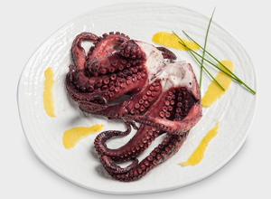 Ready to eat Polpo 