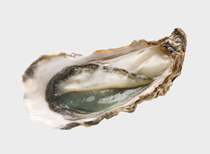 Oysters Fine de Claire Verte Label Rouge