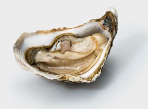 Oysters Caesar
