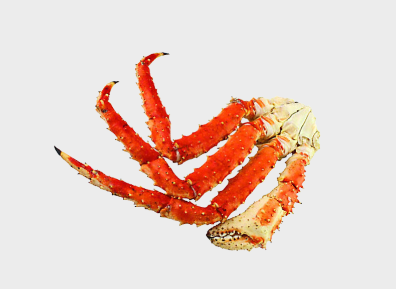 raw fish King crab 