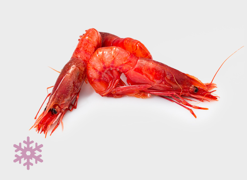 raw fish Mazara red prawn