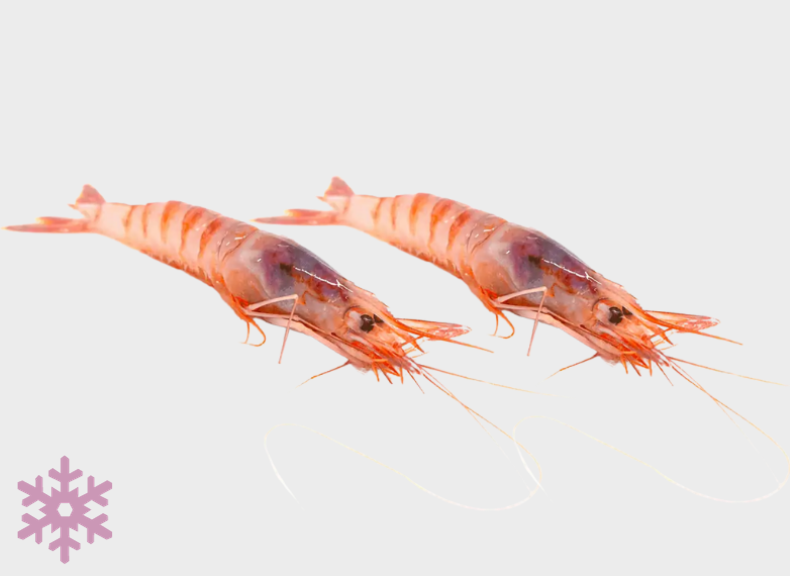 raw fish Violet prawn