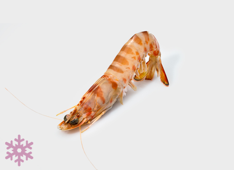 raw fish Tiger prawns 