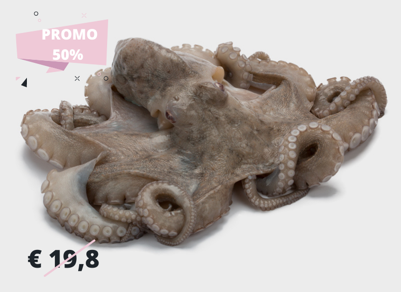 Fish market Octopus