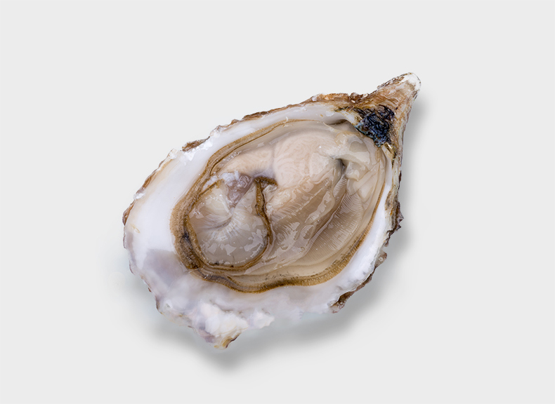 Oysters Calvadosienne