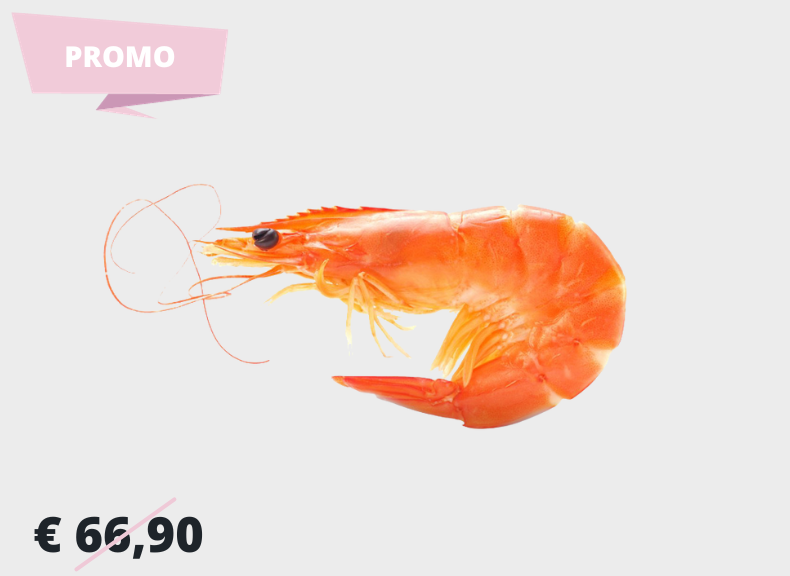Fish market Crevettes cuit