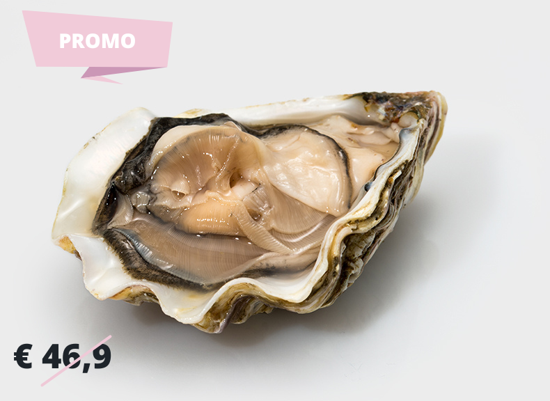 Oysters The Italian Oysters