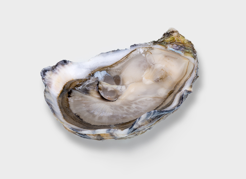Oysters Comtesse