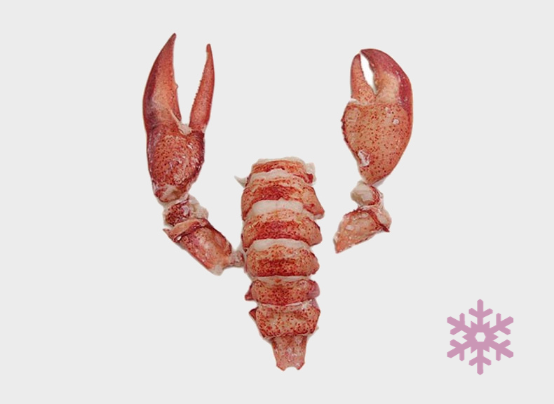 raw fish Raw lobster pulp