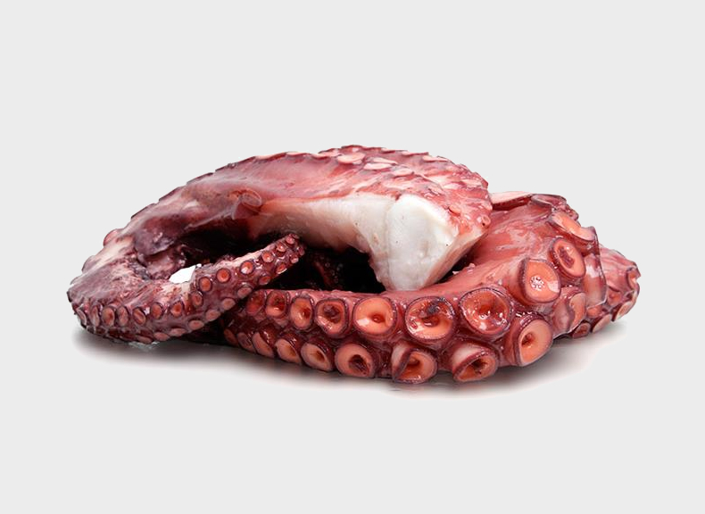 Specialties Octopus' tentacles