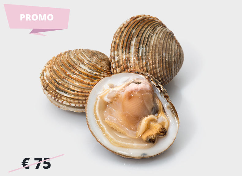 Fish market Sea truffle