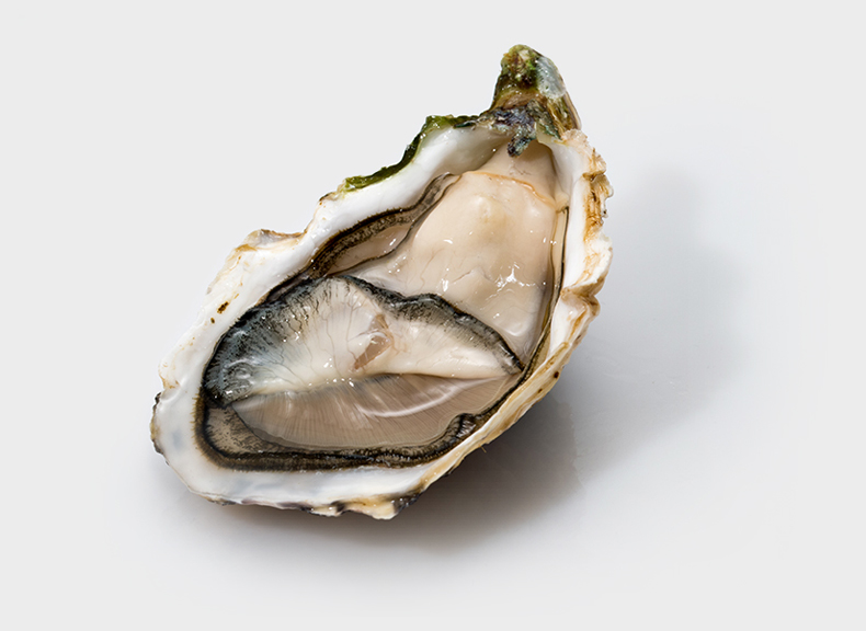 Oysters Fauchon Paris