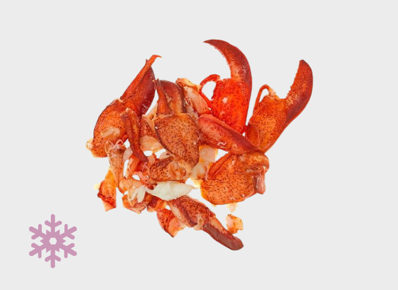 raw fish Polpa di Astice 