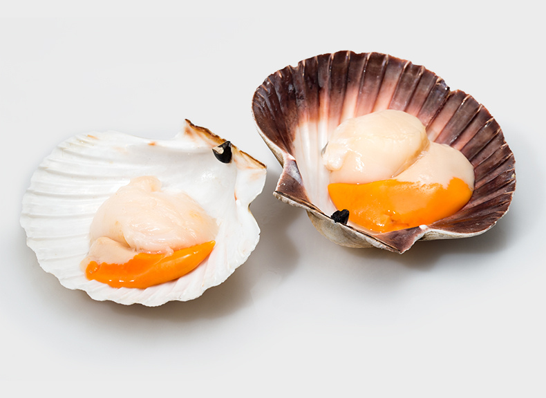 Fish market Scallops